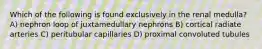 Which of the following is found exclusively in the renal medulla? A) nephron loop of juxtamedullary nephrons B) cortical radiate arteries C) peritubular capillaries D) proximal convoluted tubules