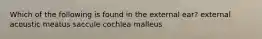 Which of the following is found in the external ear? external acoustic meatus saccule cochlea malleus