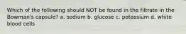 Which of the following should NOT be found in the filtrate in the Bowman's capsule? a. sodium b. glucose c. potassium d. white blood cells