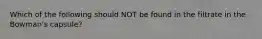 Which of the following should NOT be found in the filtrate in the Bowman's capsule?