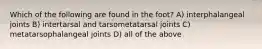 Which of the following are found in the foot? A) interphalangeal joints B) intertarsal and tarsometatarsal joints C) metatarsophalangeal joints D) all of the above