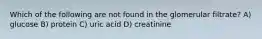 Which of the following are not found in the glomerular filtrate? A) glucose B) protein C) uric acid D) creatinine
