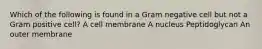 Which of the following is found in a Gram negative cell but not a Gram positive cell? A cell membrane A nucleus Peptidoglycan An outer membrane