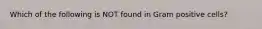 Which of the following is NOT found in Gram positive cells?