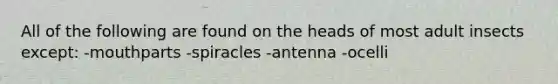 All of the following are found on the heads of most adult insects except: -mouthparts -spiracles -antenna -ocelli