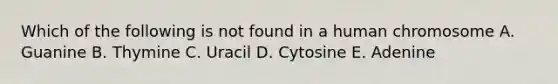 Which of the following is not found in a human chromosome A. Guanine B. Thymine C. Uracil D. Cytosine E. Adenine