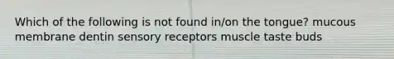 Which of the following is not found in/on the tongue? mucous membrane dentin sensory receptors muscle taste buds