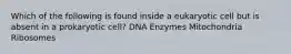 Which of the following is found inside a eukaryotic cell but is absent in a prokaryotic cell? DNA Enzymes Mitochondria Ribosomes