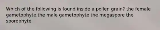 Which of the following is found inside a pollen grain? the female gametophyte the male gametophyte the megaspore the sporophyte