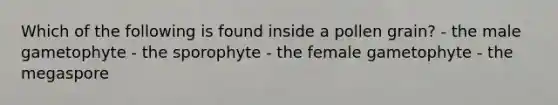 Which of the following is found inside a pollen grain? - the male gametophyte - the sporophyte - the female gametophyte - the megaspore