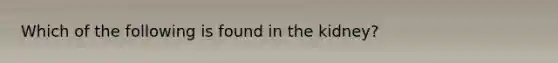 Which of the following is found in the kidney?