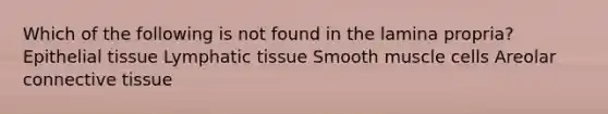 Which of the following is not found in the lamina propria? Epithelial tissue Lymphatic tissue Smooth muscle cells Areolar connective tissue