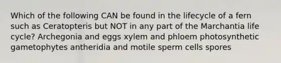 Which of the following CAN be found in the lifecycle of a fern such as Ceratopteris but NOT in any part of the Marchantia life cycle? Archegonia and eggs xylem and phloem photosynthetic gametophytes antheridia and motile sperm cells spores