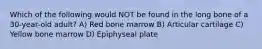 Which of the following would NOT be found in the long bone of a 30-year-old adult? A) Red bone marrow B) Articular cartilage C) Yellow bone marrow D) Epiphyseal plate