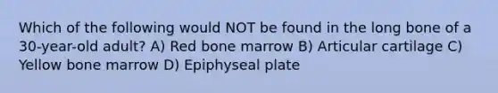 Which of the following would NOT be found in the long bone of a 30-year-old adult? A) Red bone marrow B) Articular cartilage C) Yellow bone marrow D) Epiphyseal plate