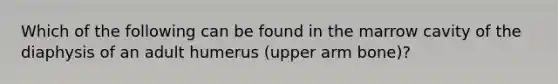 Which of the following can be found in the marrow cavity of the diaphysis of an adult humerus (upper arm bone)?