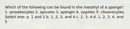 Which of the following can be found in the mesohyl of a sponge? 1. amoebocytes 2. spicules 3. spongin 4. zygotes 5. choanocytes Select one: a. 1 and 2 b. 1, 2, 3, and 4 c. 2, 3, 4 d. 1, 2, 3, 4, and 5