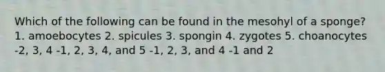 Which of the following can be found in the mesohyl of a sponge? 1. amoebocytes 2. spicules 3. spongin 4. zygotes 5. choanocytes -2, 3, 4 -1, 2, 3, 4, and 5 -1, 2, 3, and 4 -1 and 2