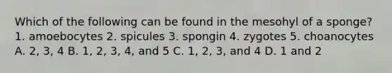 Which of the following can be found in the mesohyl of a sponge? 1. amoebocytes 2. spicules 3. spongin 4. zygotes 5. choanocytes A. 2, 3, 4 B. 1, 2, 3, 4, and 5 C. 1, 2, 3, and 4 D. 1 and 2