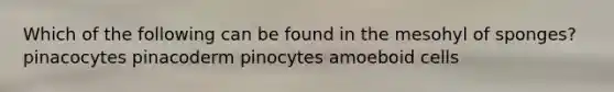 Which of the following can be found in the mesohyl of sponges? pinacocytes pinacoderm pinocytes amoeboid cells