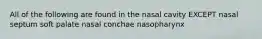 All of the following are found in the nasal cavity EXCEPT nasal septum soft palate nasal conchae nasopharynx