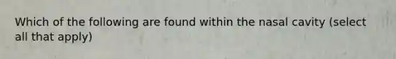 Which of the following are found within the nasal cavity (select all that apply)