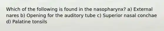 Which of the following is found in the nasopharynx? a) External nares b) Opening for the auditory tube c) Superior nasal conchae d) Palatine tonsils