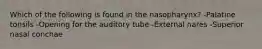 Which of the following is found in the nasopharynx? -Palatine tonsils -Opening for the auditory tube -External nares -Superior nasal conchae