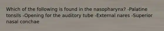 Which of the following is found in the nasopharynx? -Palatine tonsils -Opening for the auditory tube -External nares -Superior nasal conchae