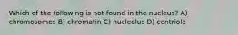 Which of the following is not found in the nucleus? A) chromosomes B) chromatin C) nucleolus D) centriole