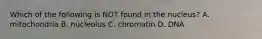 Which of the following is NOT found in the nucleus? A. mitochondria B. nucleolus C. chromatin D. DNA