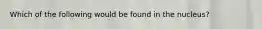 Which of the following would be found in the nucleus?