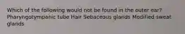 Which of the following would not be found in the outer ear? Pharyngotympanic tube Hair Sebaceous glands Modified sweat glands