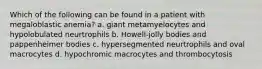 Which of the following can be found in a patient with megaloblastic anemia? a. giant metamyelocytes and hypolobulated neurtrophils b. Howell-jolly bodies and pappenheimer bodies c. hypersegmented neurtrophils and oval macrocytes d. hypochromic macrocytes and thrombocytosis