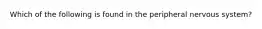 Which of the following is found in the peripheral nervous system?