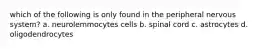 which of the following is only found in the peripheral nervous system? a. neurolemmocytes cells b. spinal cord c. astrocytes d. oligodendrocytes