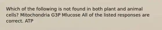 Which of the following is not found in both plant and animal cells? Mitochondria G3P Mlucose All of the listed responses are correct. ATP