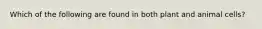 Which of the following are found in both plant and animal cells?