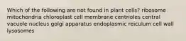 Which of the following are not found in plant cells? ribosome mitochondria chloroplast cell membrane centrioles central vacuole nucleus golgi apparatus endoplasmic reiculum cell wall lysosomes