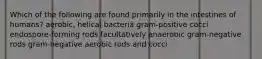 Which of the following are found primarily in the intestines of humans? aerobic, helical bacteria gram-positive cocci endospore-forming rods facultatively anaerobic gram-negative rods gram-negative aerobic rods and cocci