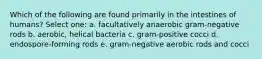 Which of the following are found primarily in the intestines of humans? Select one: a. facultatively anaerobic gram-negative rods b. aerobic, helical bacteria c. gram-positive cocci d. endospore-forming rods e. gram-negative aerobic rods and cocci