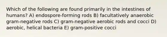 Which of the following are found primarily in the intestines of humans? A) endospore-forming rods B) facultatively anaerobic gram-negative rods C) gram-negative aerobic rods and cocci D) aerobic, helical bacteria E) gram-positive cocci