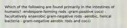 Which of the following are found primarily in the intestines of humans? -endospore-forming rods -gram-positive cocci -facultatively anaerobic gram-negative rods -aerobic, helical bacteria - gram-negative aerobic rods and cocci