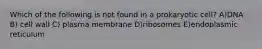 Which of the following is not found in a prokaryotic cell? A)DNA B) cell wall C) plasma membrane D)ribosomes E)endoplasmic reticulum