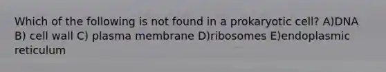 Which of the following is not found in a prokaryotic cell? A)DNA B) cell wall C) plasma membrane D)ribosomes E)endoplasmic reticulum