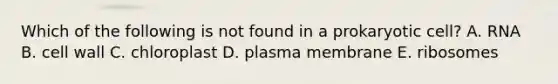 Which of the following is not found in a prokaryotic cell? A. RNA B. cell wall C. chloroplast D. plasma membrane E. ribosomes