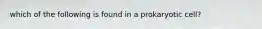 which of the following is found in a prokaryotic cell?