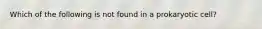 Which of the following is not found in a prokaryotic cell?