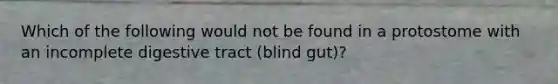 Which of the following would not be found in a protostome with an incomplete digestive tract (blind gut)?