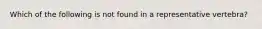 Which of the following is not found in a representative vertebra?